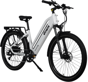 pacerliteebike Pacer Lite E-Bike