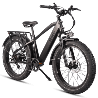 pioneerblack Pioneer E-Bike
