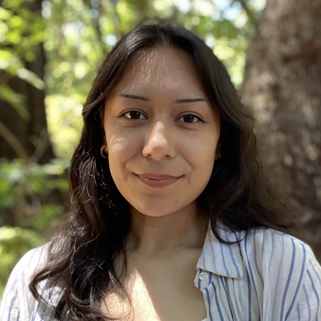 Angel Villicana photo