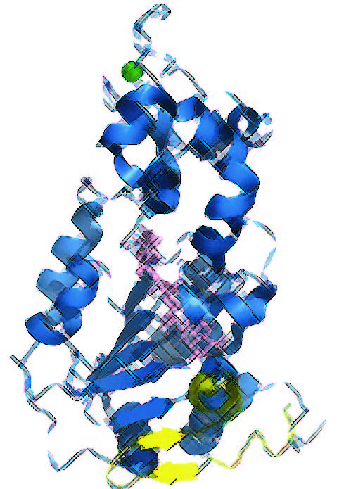 space holder space holder